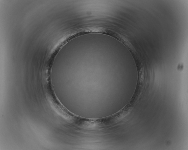 X0000113230351200909241528