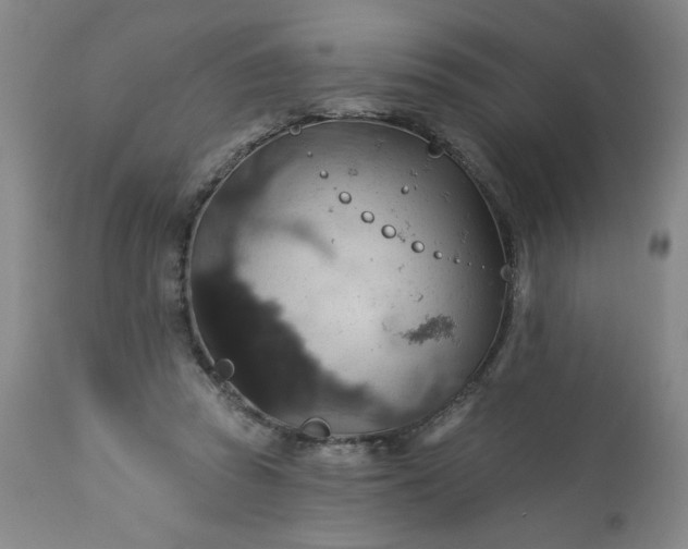 X0000113230353200909241528