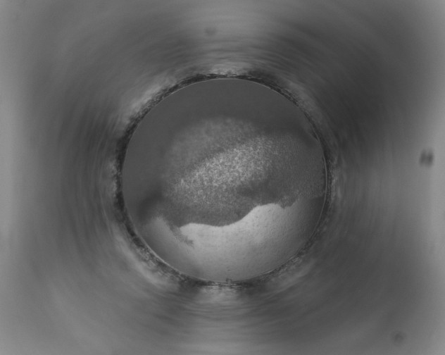 X0000113230354200909241528