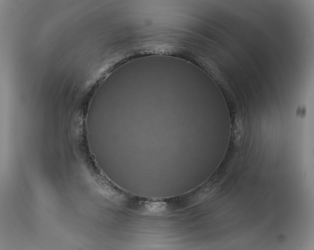 X0000113230355200909241528