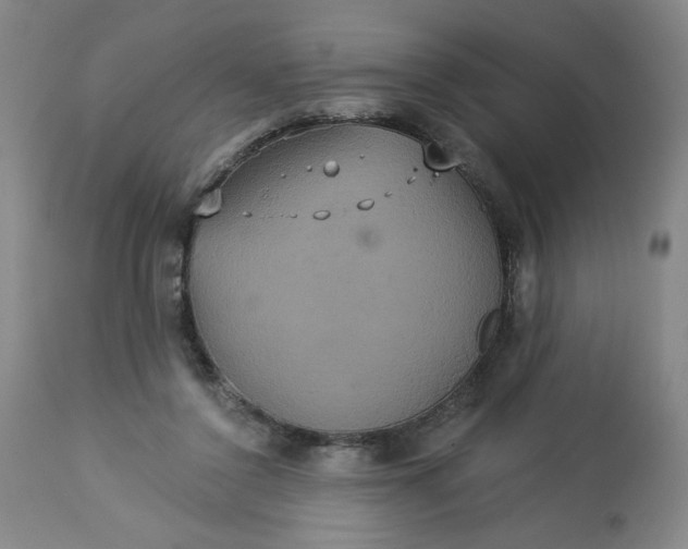 X0000113230356200909241528