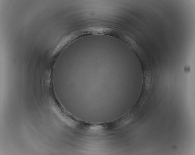 X0000113230357200909241528