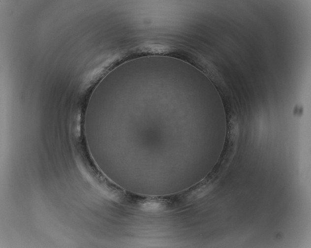 X0000113230358200909241528