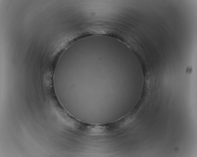 X0000113230359200909241528