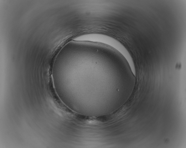 X0000113230360200909241528