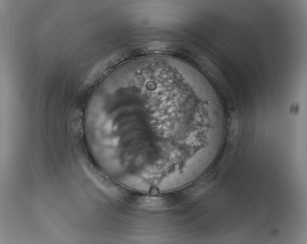 X0000113230361200909241528