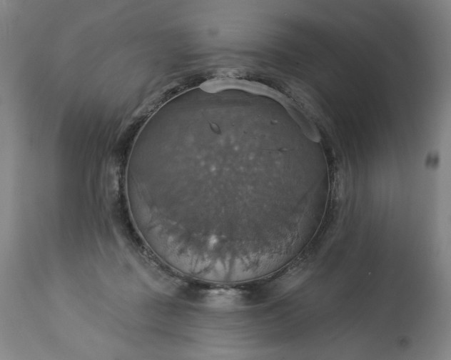 X0000113230363200909241528