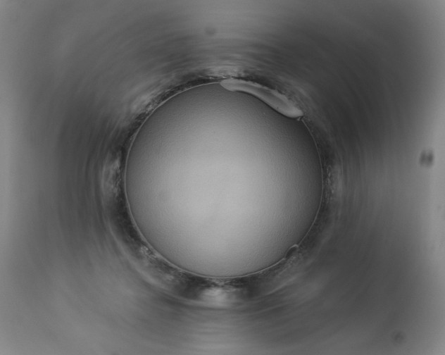 X0000113230364200909241528