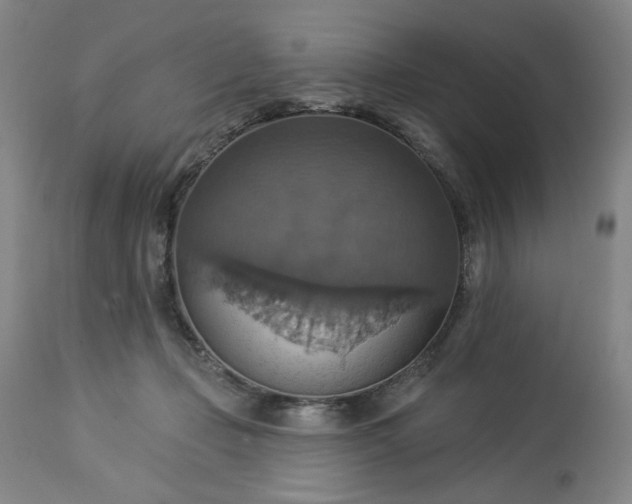 X0000113230365200909241528