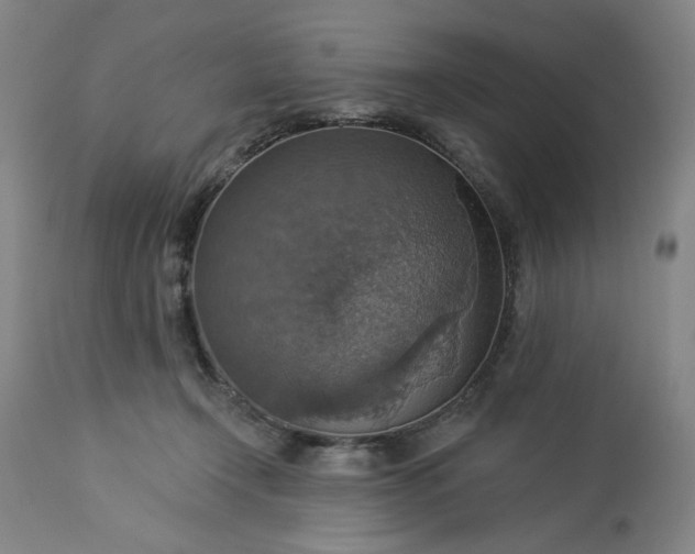 X0000113230366200909241528