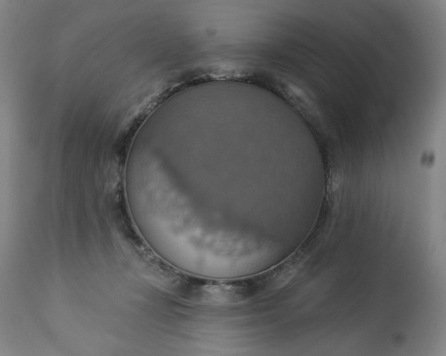 X0000113230367200909241528