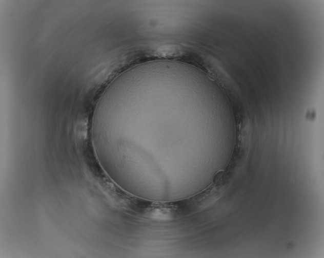 X0000113230368200909241528