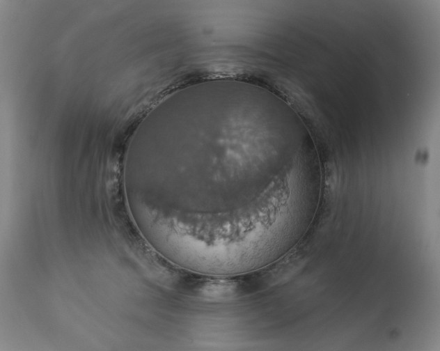 X0000113230369200909241528