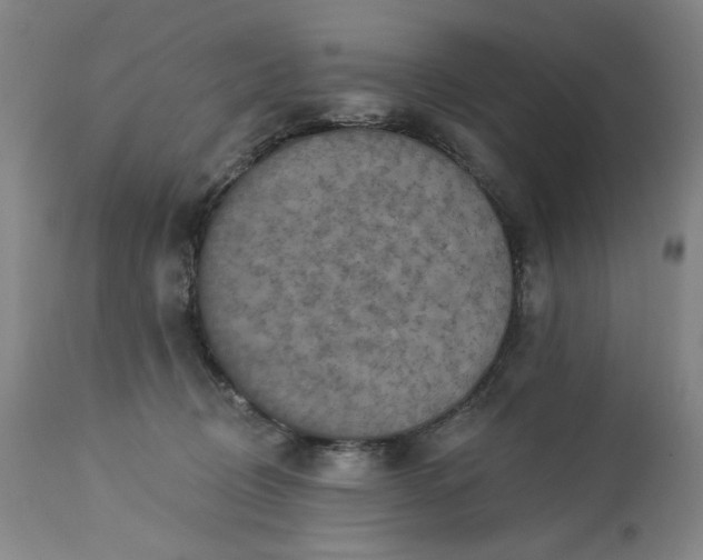 X0000113230370200909241528