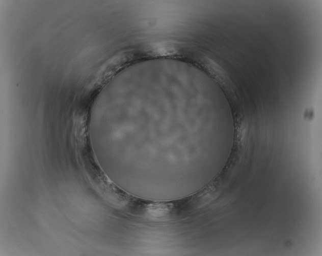 X0000113230373200909241528