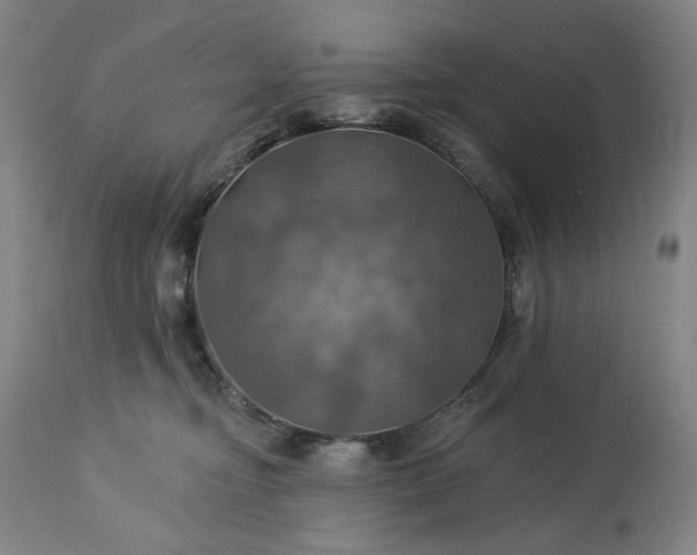 X0000113230374200909241528