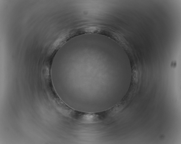 X0000113230375200909241528