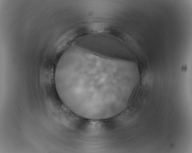 X0000113230376200909241528