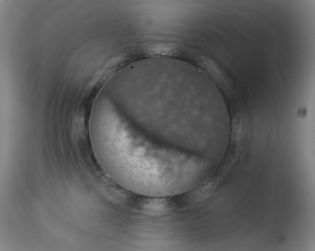 X0000113230377200909241528