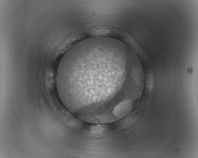 X0000113230378200909241528