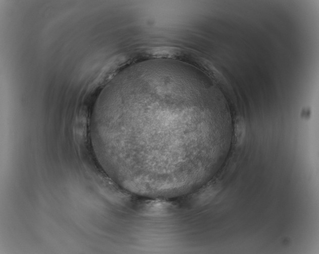 X0000113230379200909241528