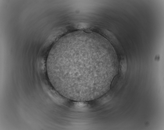 X0000113230380200909241528