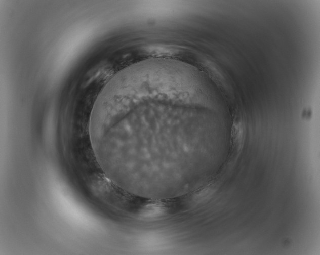 X0000113230381200909241528