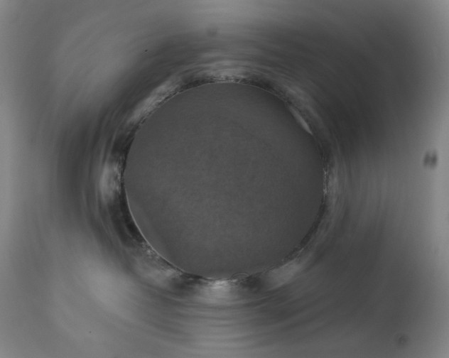 X0000113230382200909241528