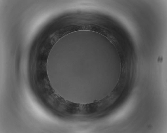 X0000113230383200909241528