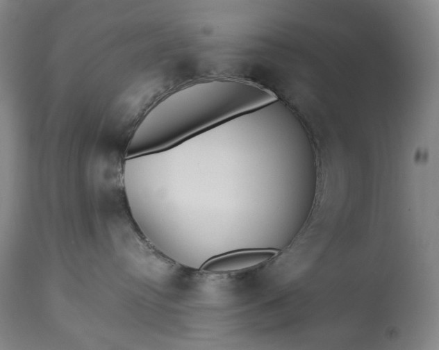 X0000113230384200909241528