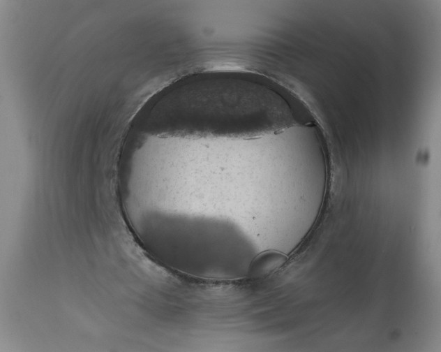 X0000113230385200909241528