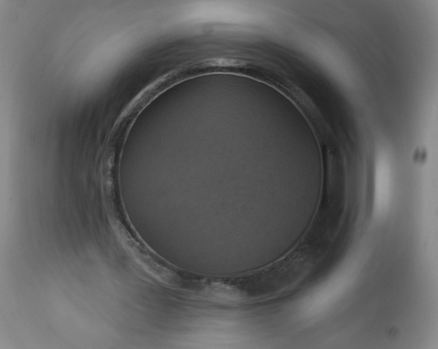 X0000113230387200909241528