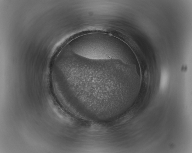 X0000113230388200909241528