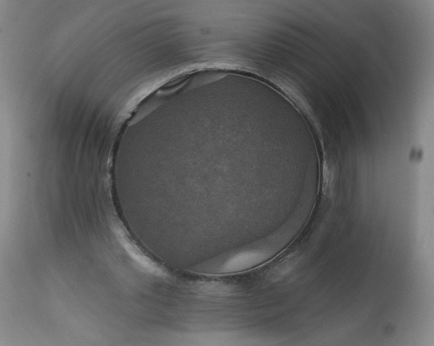 X0000113230389200909241528