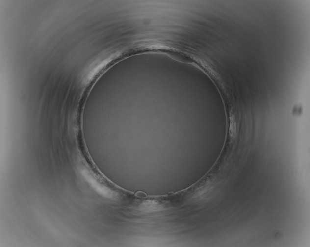 X0000113230390200909241528