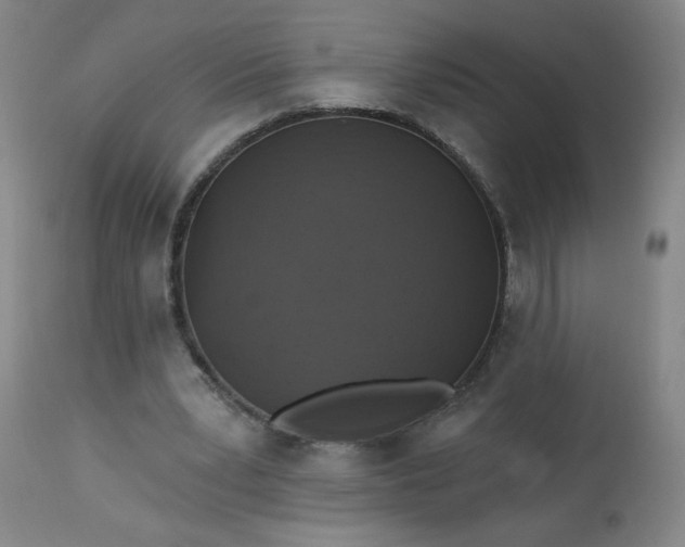 X0000113230391200909241528