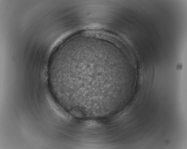 X0000113230392200909241528