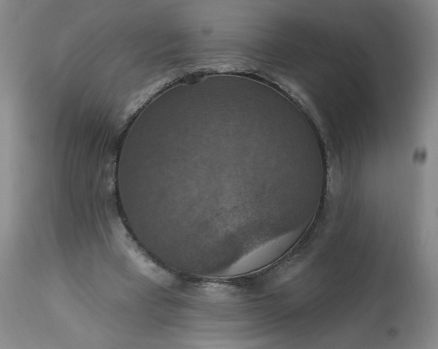 X0000113230393200909241528