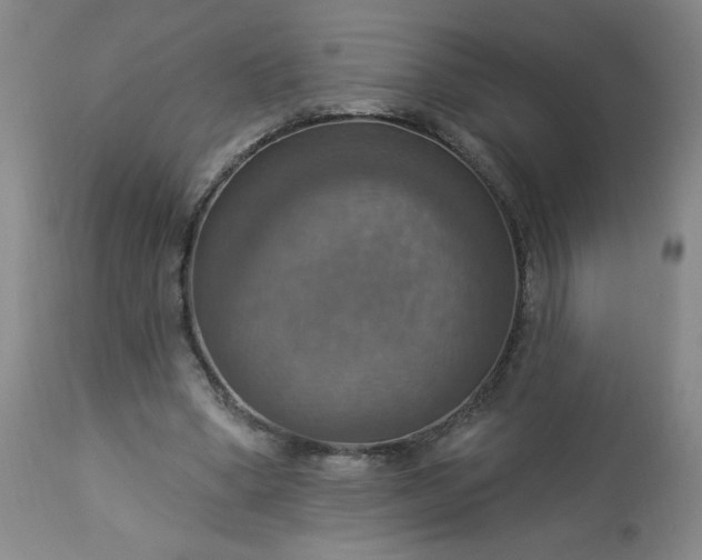 X0000113230394200909241528