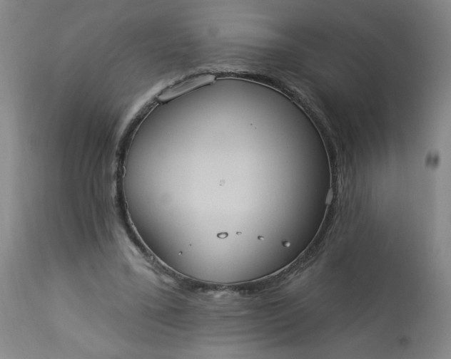 X0000113230395200909241528