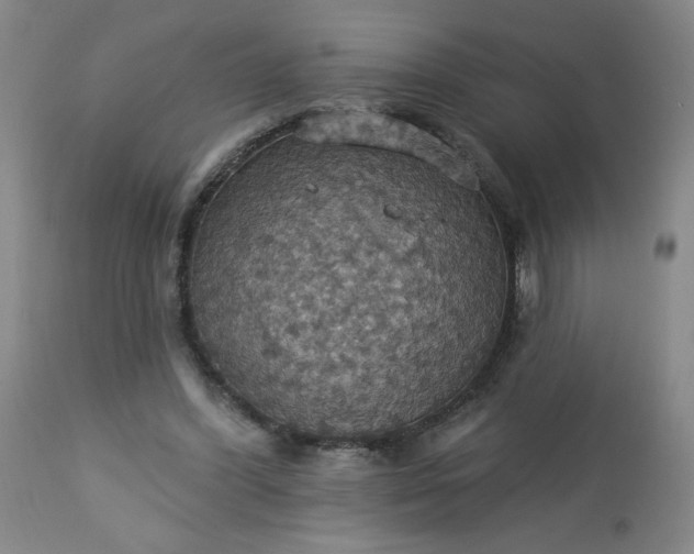 X0000113230396200909241527