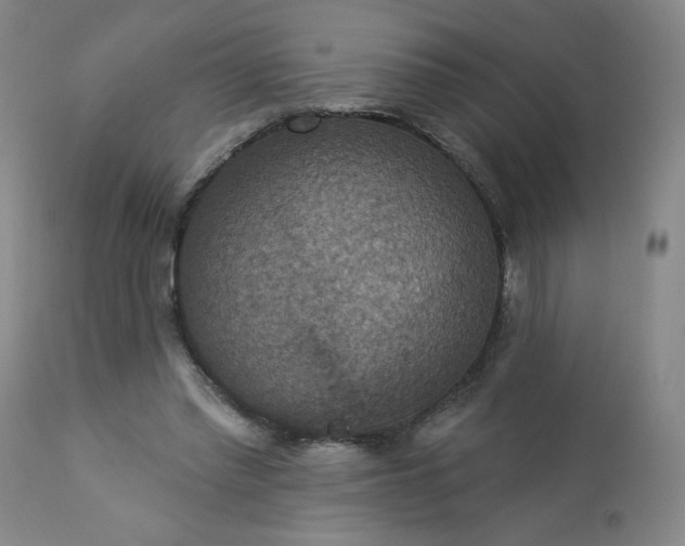 X0000113230397200909241527