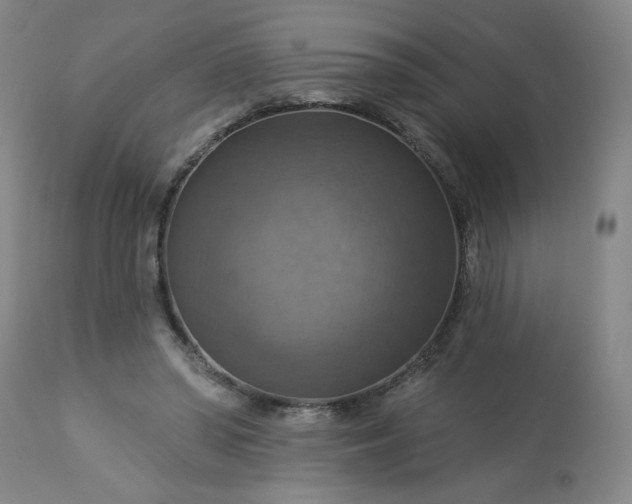 X0000113230398200909241527