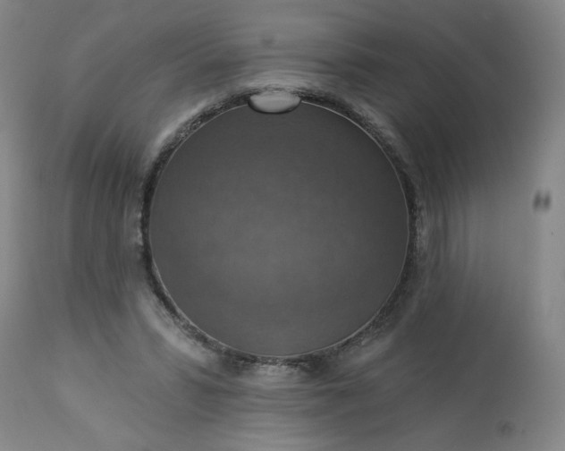 X0000113230399200909241527