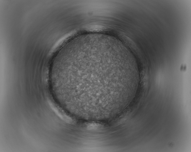 X0000113230400200909241527