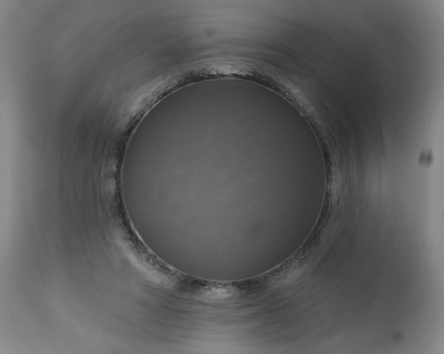 X0000113230402200909241527