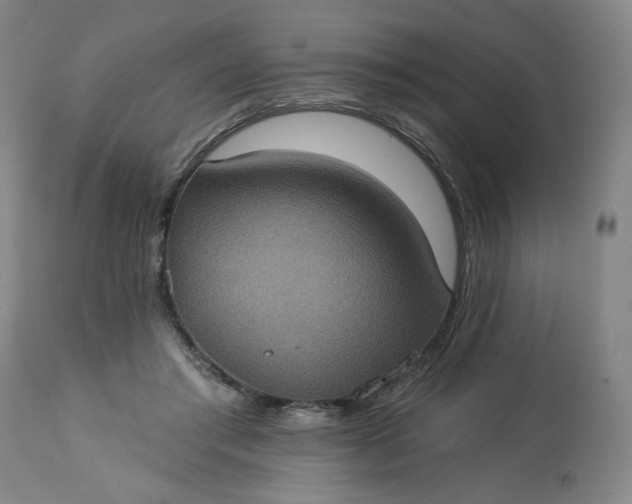 X0000113230405200909241527