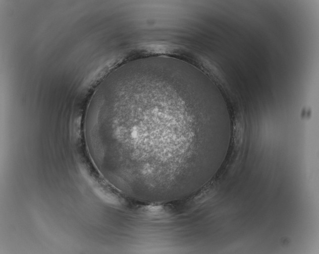 X0000113230406200909241527