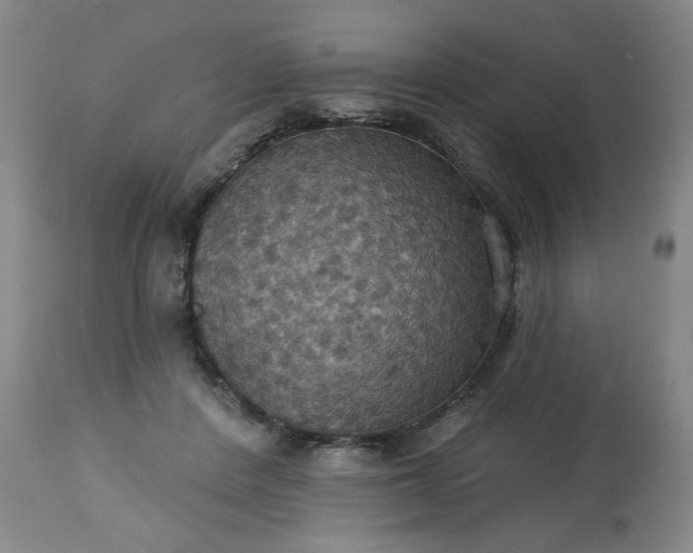 X0000113230408200909241527