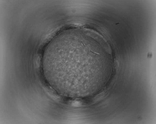 X0000113230412200909241527